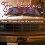 Used CD Compact Disc - Gin Blossoms - New Miserable Experience - CDs Record Album