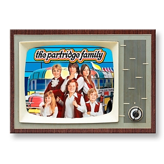 Television from the 1970's  Collectibles - The Partridge Family Metal TV Magnet