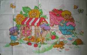 Strawberry Shortcake Pillow Case