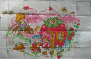 Strawberry Shortcake Pillow Case