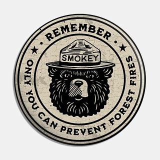 Smokey The Bear - U.S. Forest Service - Smokey the Bear Pinback Button