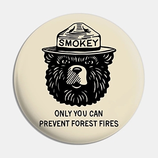 Smokey The Bear - U.S. Forest Service - Smokey the Bear Pinback Button