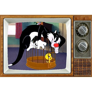 Television Character Collectibles - Looney Tunes Sylvester and Tweety Bird Metal TV Magnet