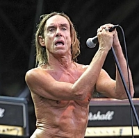 Punk Music and Rock and Roll Collectibles Iggy Pop