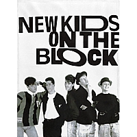 Pop Music and Boy Band Collectibles New Kids on the Block - NKOTB
